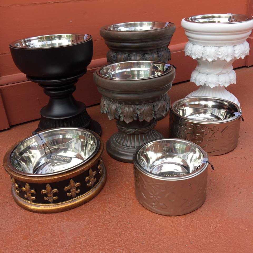 Baroque Fancy Dog Bowls at Greene Mansion Social Wave